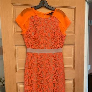 BCBG lace cocktail dress